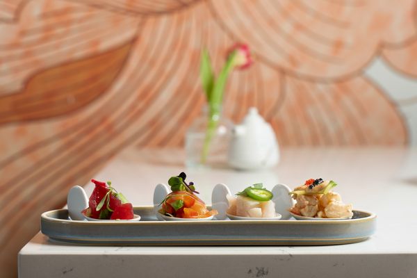 Fish Boon by null