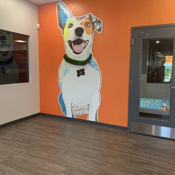 Dogtopia Warwick - Pet Groomers Near Me - Warwick, Rhode Island