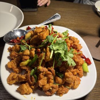 Mala Sichuan Bistro - 风味辣子鸡丁 Spicy and Crispy Chicken - Szechuan Near Me - Houston, Texas