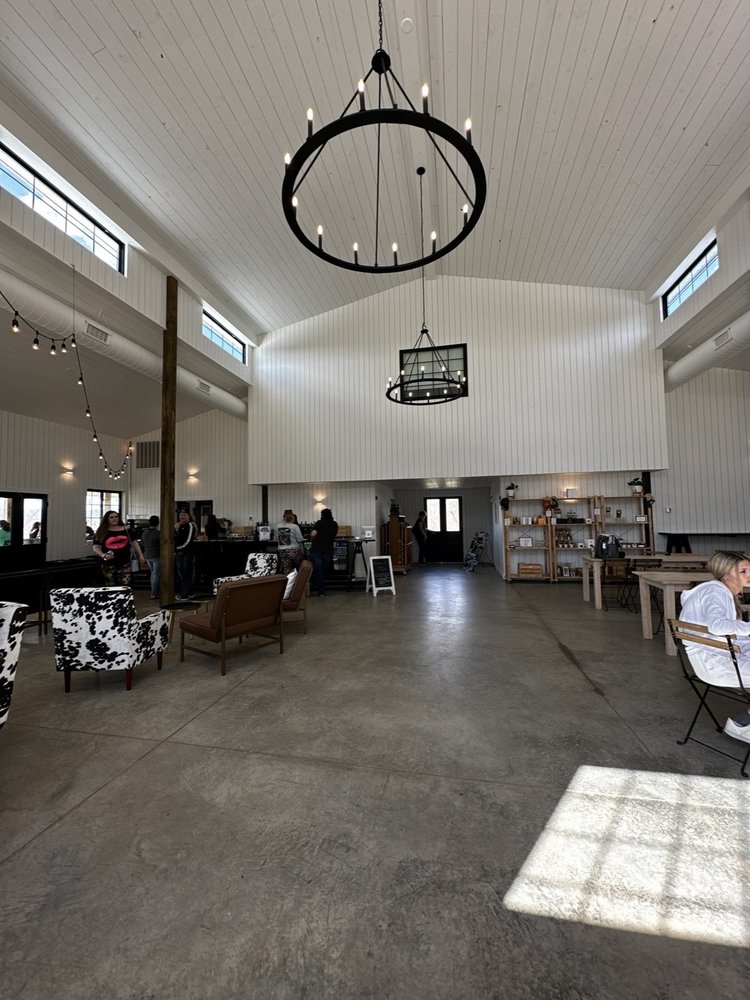 Serre Vineyards - vineyard in Mount Airy, NC