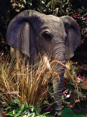 Rainforest Cafe by null