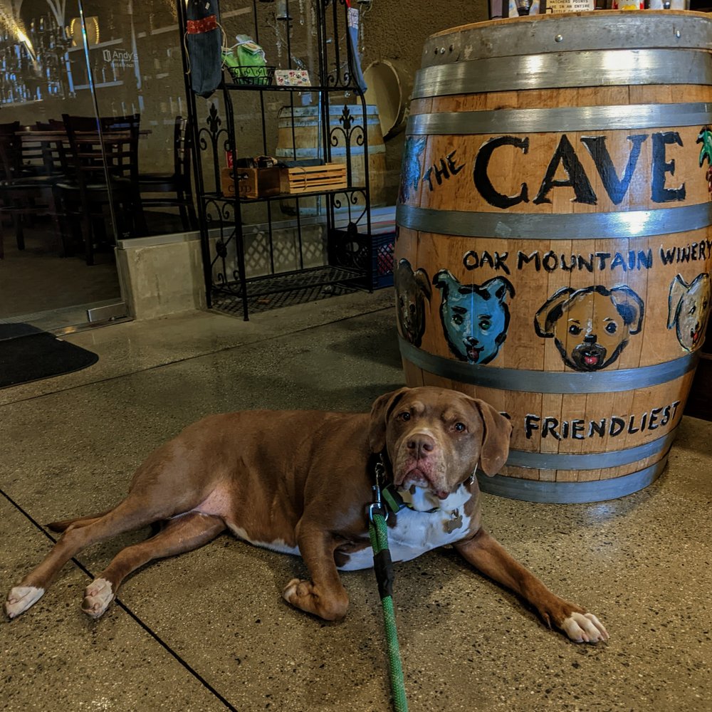 Oak Mountain Winery - Ava most definitely approves. - Wineries Near Me - Temecula, California Oak Mountain Winery - Ava most definitely approves. - Wineries Near Me - Temecula, California