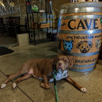 Oak Mountain Winery - Ava most definitely approves. - Wineries Near Me - Temecula, California Oak Mountain Winery - Ava most definitely approves. - Wineries Near Me - Temecula, California