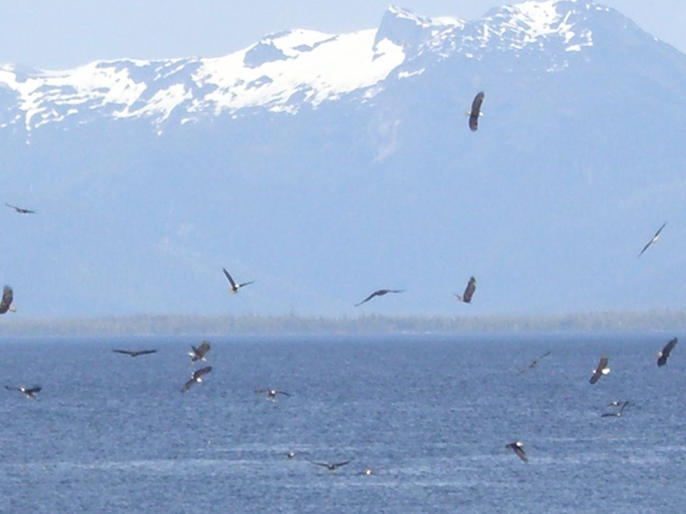 Whale Point Cabin