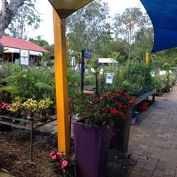 Nielsen's Native Nursery
