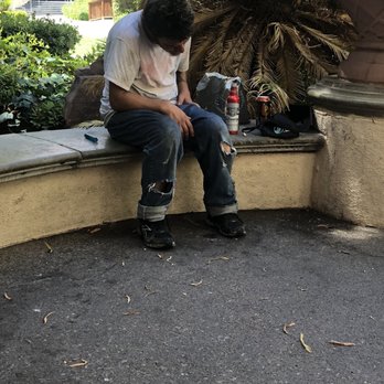 Flamingo Las Vegas - Homeless junky in the Habitat. - Hotels Near Me - Las Vegas, Nevada Flamingo Las Vegas - Homeless junky in the Habitat. - Hotels Near Me - Las Vegas, Nevada