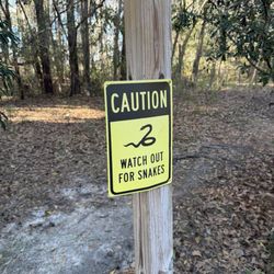 Savannah Botanical Gardens - I didn't see any.