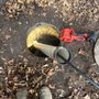 Photo of ANM Sewer & Water