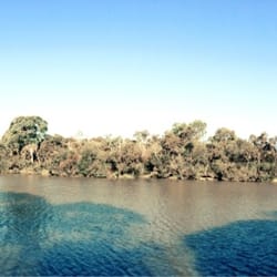 Blackburn Lake Sanctuary - Beautiful lake at duck point
