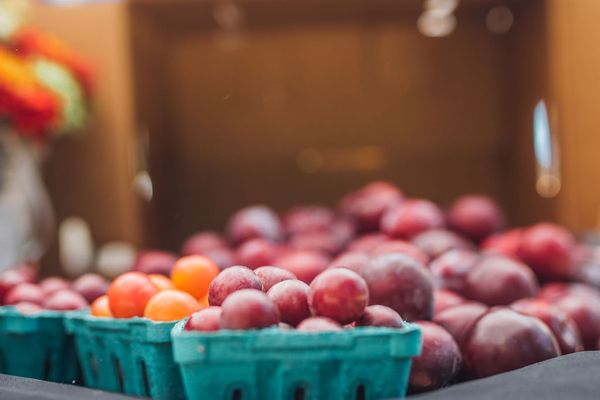 Oak Park Farmers Market by null