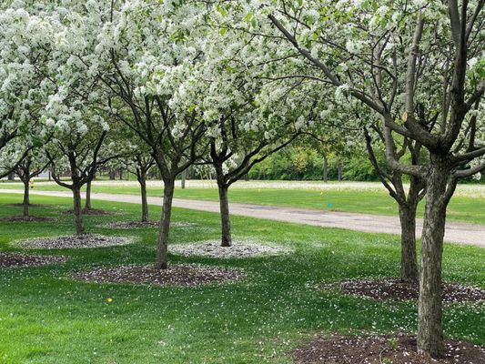 George George Memorial Park by null