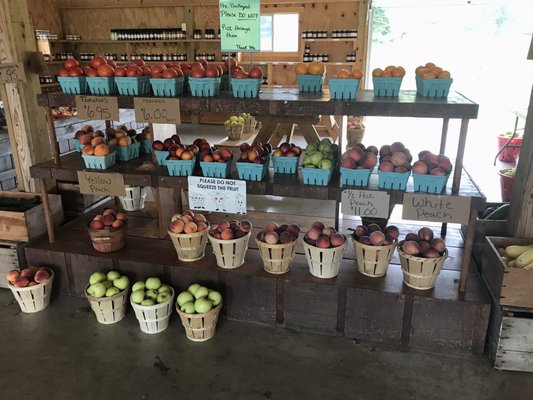 Jenkins Orchards by null