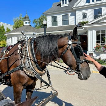 Gough Livery Carriages - Transportation Near Me Gough Livery Carriages - Transportation Near Me