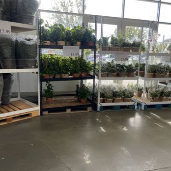 Costco - Plants - Wholesalers Near Me - Fairfield, California Costco - Plants - Wholesalers Near Me - Fairfield, California