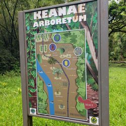 Ke'anae Arboretum - Map of the free arboretum