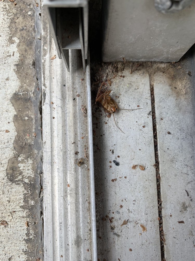 SAGE STONE APARTMENTS 17 Photos & 19 Reviews Apartments 1201