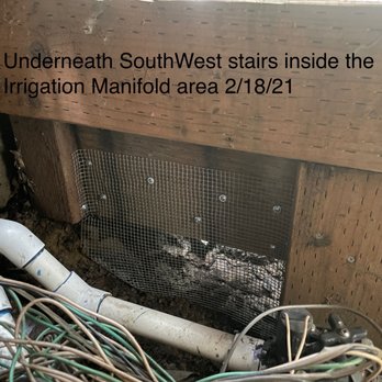 Proof It Pest Control - mesh - Pest Control Near Me