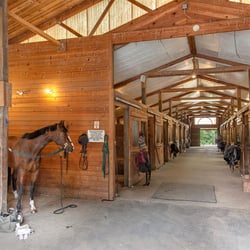 Grateful Pine Farm - Crosstie and aisle way on A-side of the main barn.