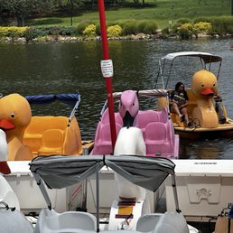 Paddle boats
