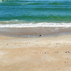 Mary McLeod Bethune Beach Park