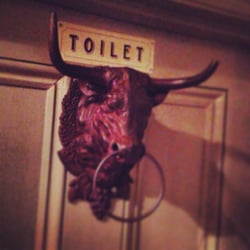 The Bull & Last - What a manly toilet