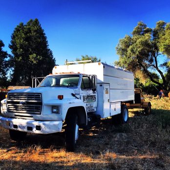 Ward Bros - Ready to work - Tree Services Near Me - Merced, California Ward Bros - Ready to work - Tree Services Near Me - Merced, California