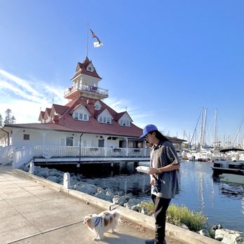 Bluewater Grill - at BLUEWATER GRILL CORONADO with my Son Michael and our dog Bambam . - Seafood Near Me - Coronado, California