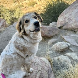 June- the best girl and LoveLeo adoption!