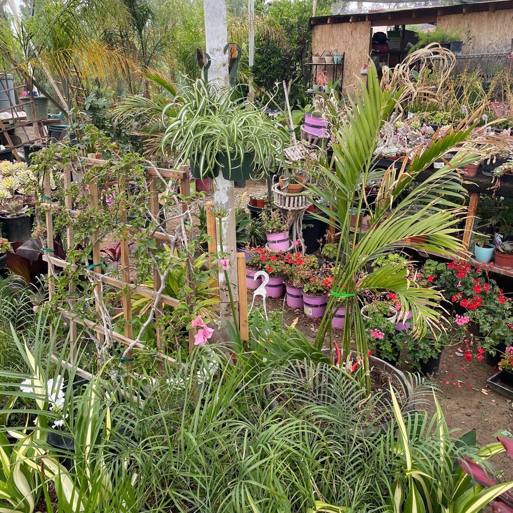 Greenland Nurseries - Nurseries & Gardening Near Me - Riverside, California Greenland Nurseries - Nurseries & Gardening Near Me - Riverside, California