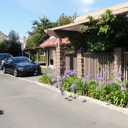 Michael Spitzer, DDS