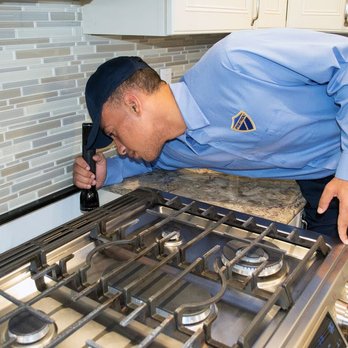 Pestrol - Pest Control Near Me - Middletown, New York Pestrol - Pest Control Near Me - Middletown, New York