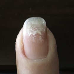 Blossom Nails