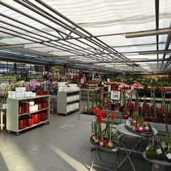 Zanker Gartencenter - 3.1.26