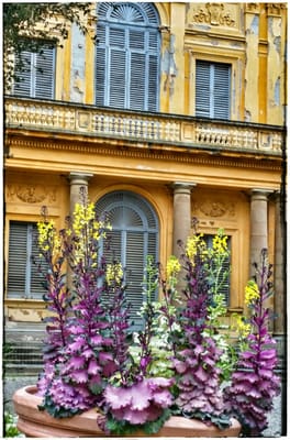 Civic Museum "Giovanni Fattori" by null