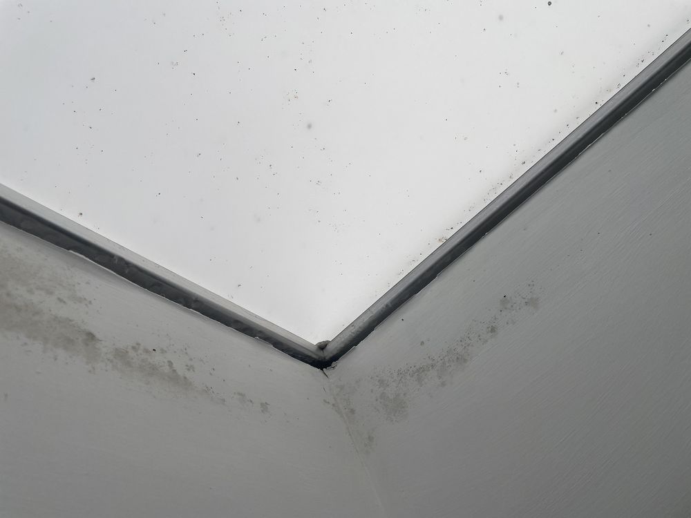 Slide of The Roofing Lady