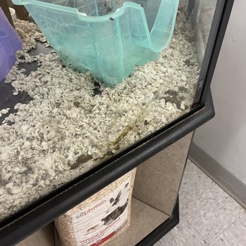 Petco - Pet Training Near Me - Oklahoma City, Oklahoma Petco - Pet Training Near Me - Oklahoma City, Oklahoma