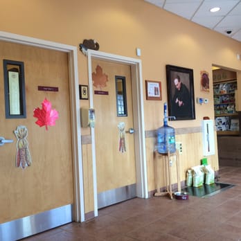 Cambridge Veterinary Care - Veterinarians Near Me - Cambridge, Massachusetts Cambridge Veterinary Care - Veterinarians Near Me - Cambridge, Massachusetts