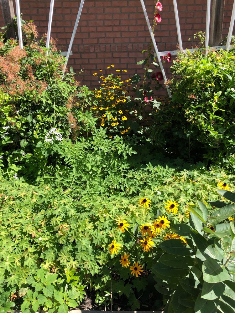 ALLIED ENDODONTIC SPECIALISTS, P.A. Endodontists 14040 81st Ave N