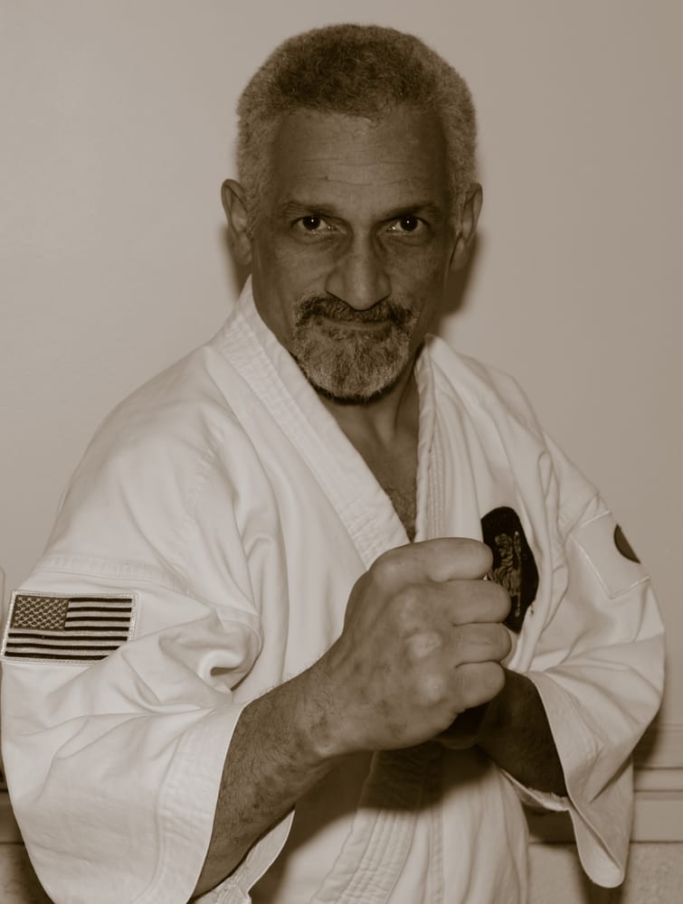 Rising Sun Dojo Logo