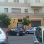 Photo of Sol