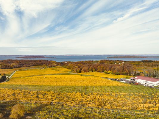 Chateau Grand Traverse by null