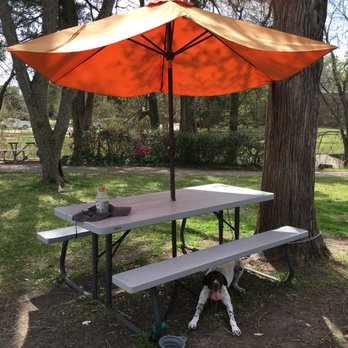 Taco Mania - Picnic table! - Food Trucks Near Me - Huntsville, Texas Taco Mania - Picnic table! - Food Trucks Near Me - Huntsville, Texas