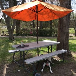 Taco Mania - Picnic table!