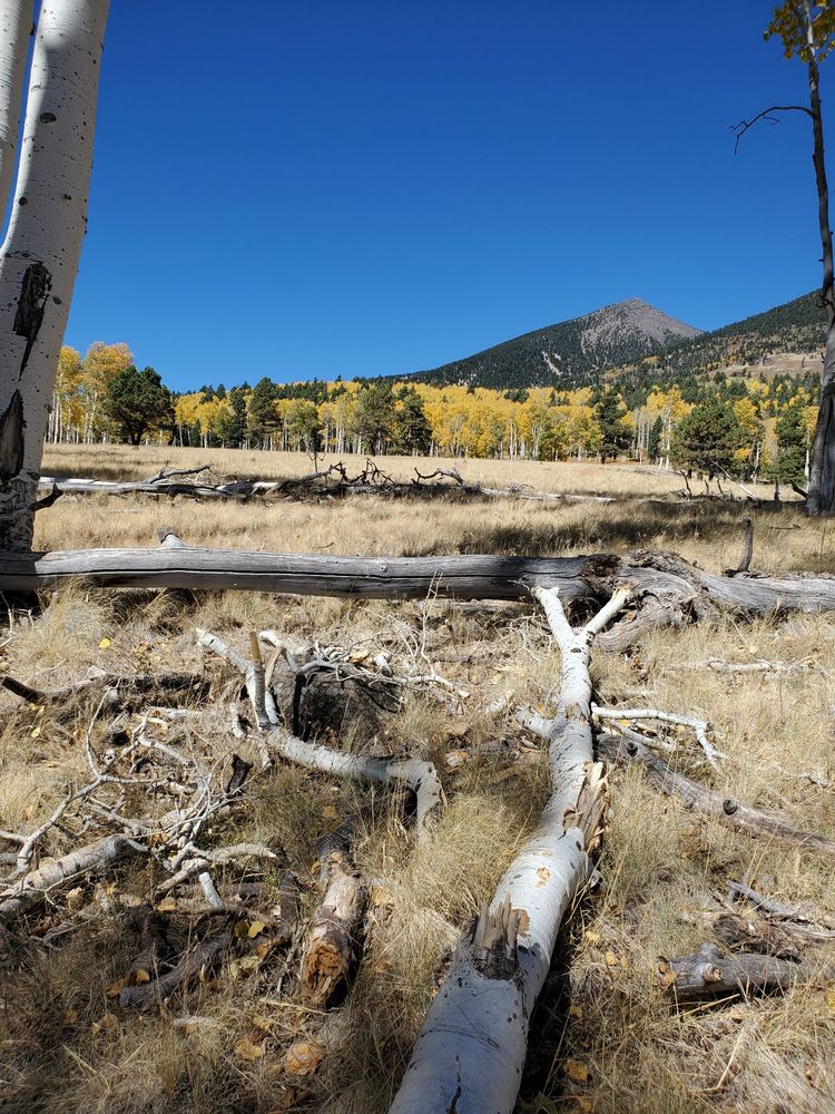 Kachina Trail No. 150 Logo