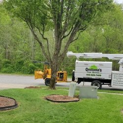 Orellana Tree Service