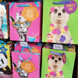 Steve's Dollar Store - Gift bsgd