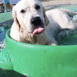 Our fur baby Our fur baby