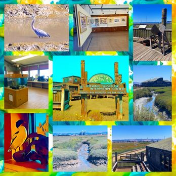 Hayward Shoreline Interpretive Center - Photo 1: Montage of images from the Hayward Shoreline Interpretive Center - Beaches Near Me - Hayward, California Hayward Shoreline Interpretive Center - Photo 1: Montage of images from the Hayward Shoreline Interpretive Center - Beaches Near Me - Hayward, California