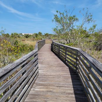 Jupiter Ridge Natural Area - Hiking Near Me - Jupiter, Florida