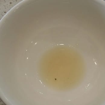 Luscious Dumplings - Dead fruit fly in the soup - Noodles Near Me - Monrovia, California Luscious Dumplings - Dead fruit fly in the soup - Noodles Near Me - Monrovia, California